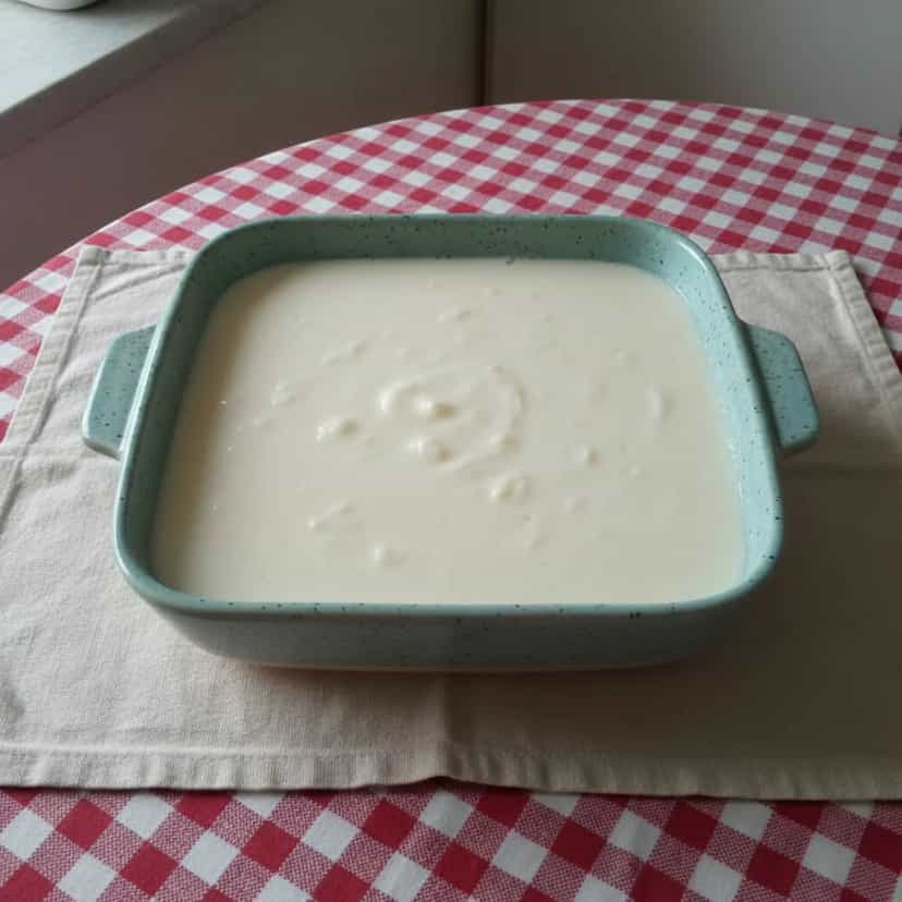 Foto deliciosa de Iogurte Caseiro Natural pronta para servir - Outras Receitas