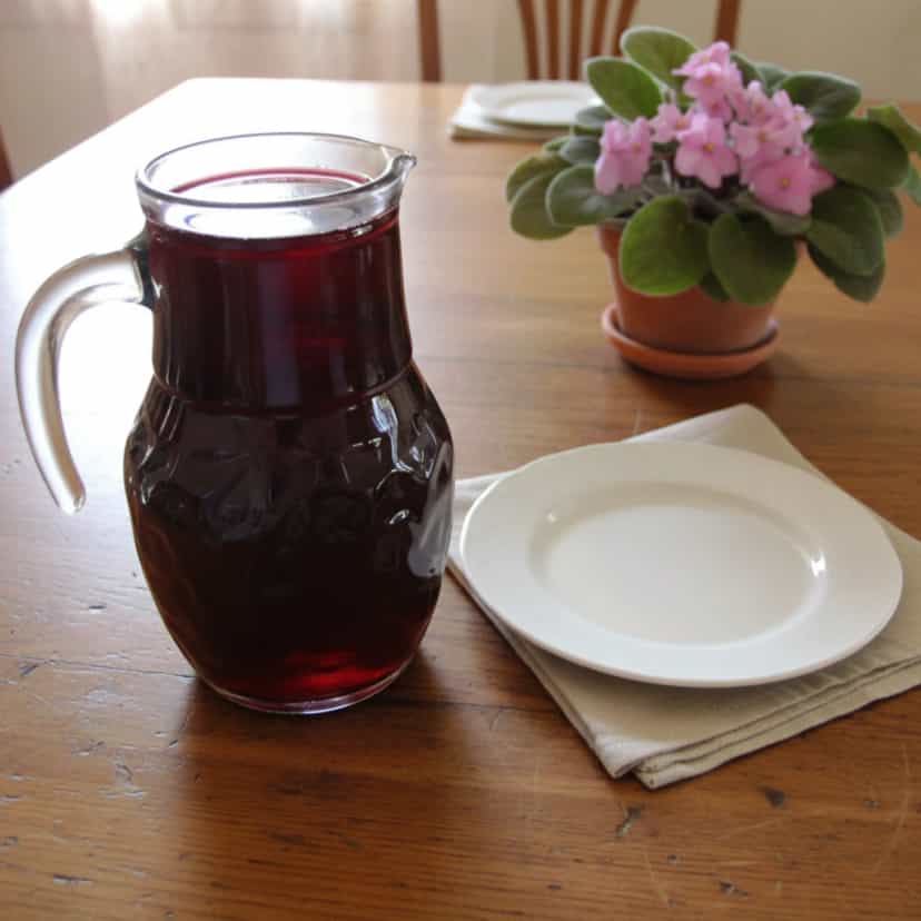 Foto deliciosa de Licor de Jabuticaba pronta para servir - Bebidas Brasileiras