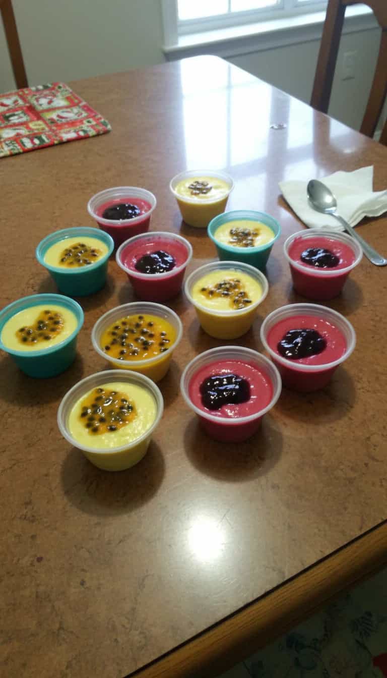 Foto deliciosa de Mousse de Frutas Vermelhas Sem Lactose pronta para servir - Pudins & Cremes